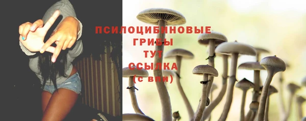 сатива Алзамай