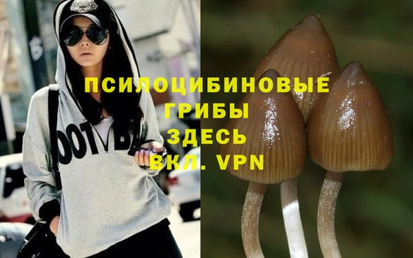 синтетический гашиш Покровск