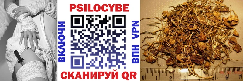 нарко площадка наркотические препараты Мыски Галлюциногенные грибы MAGIC MUSHROOMS продажа наркотиков