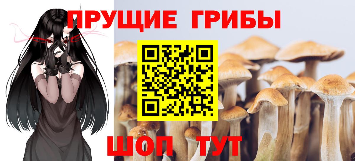 Мыски  Галлюциногенные грибы MAGIC MUSHROOMS  Вход с VPN 